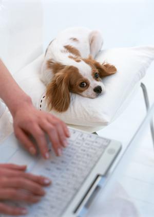 1分1秒を無駄にしない！データ入力代行